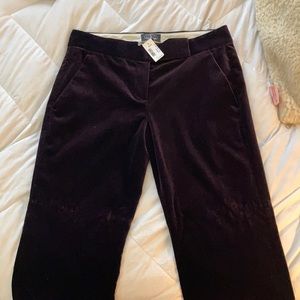 Theory for Scoop velvet pants